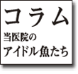 コラム